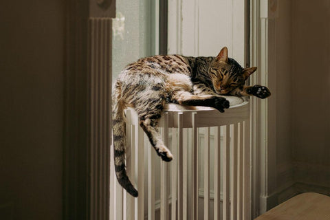 Grove Cat Tower