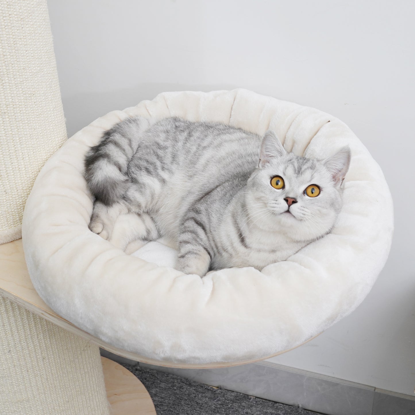 Oliver 74" Wall Anchored Cat Tree by Agile