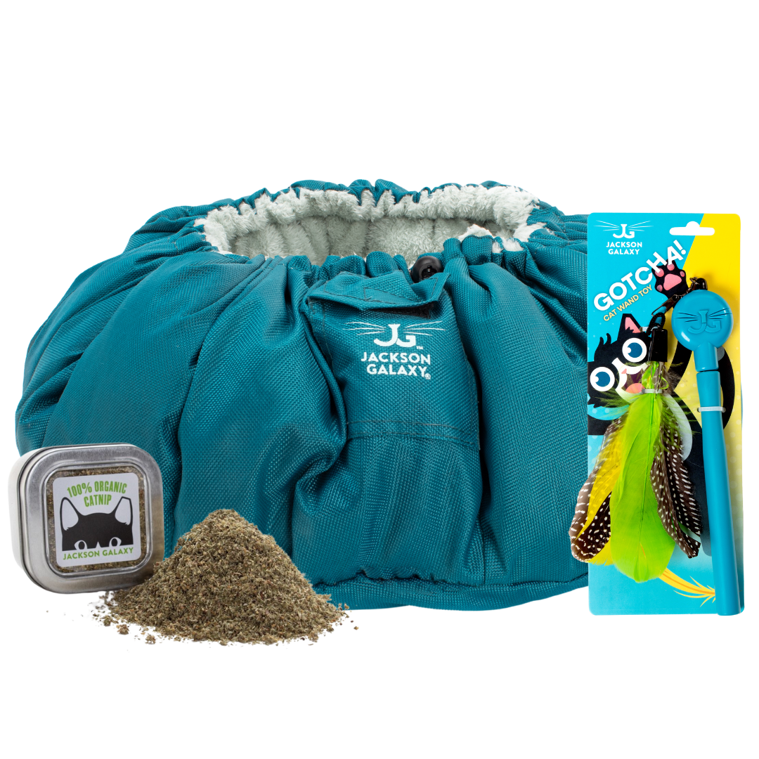 Cat beds jackson galaxy