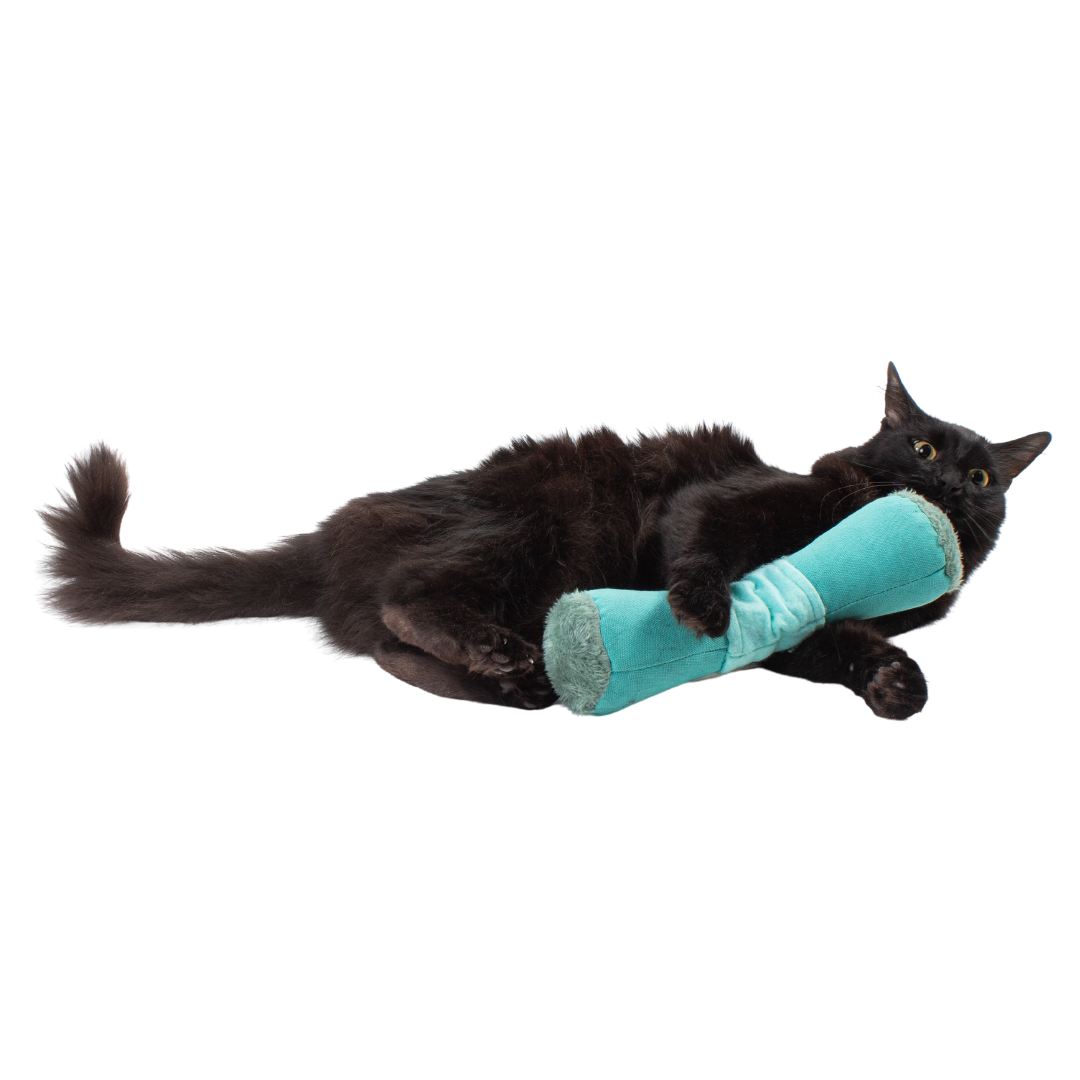 Happy Hunter Kicker by Jackson Galaxy