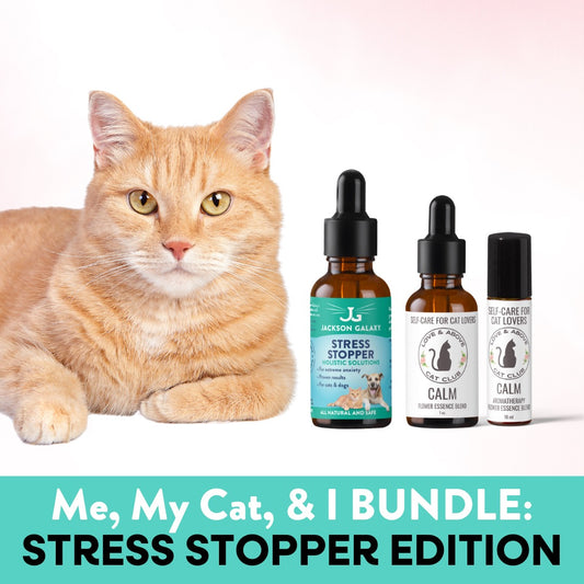 Me, My Cat, & I Bundle: Stress Stopper Edition