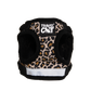 "The True Adventurer" Reflective Cat & Kitten Harness and Leash