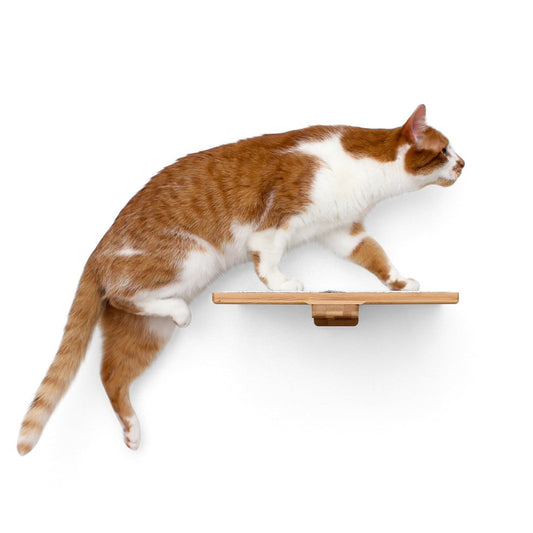 Cat Perch (Shelf) for Wall by Catastrophic Creations