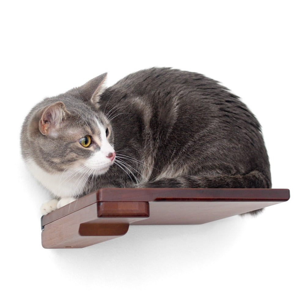 Cat Climbing Shelf by Catastrophic Creations