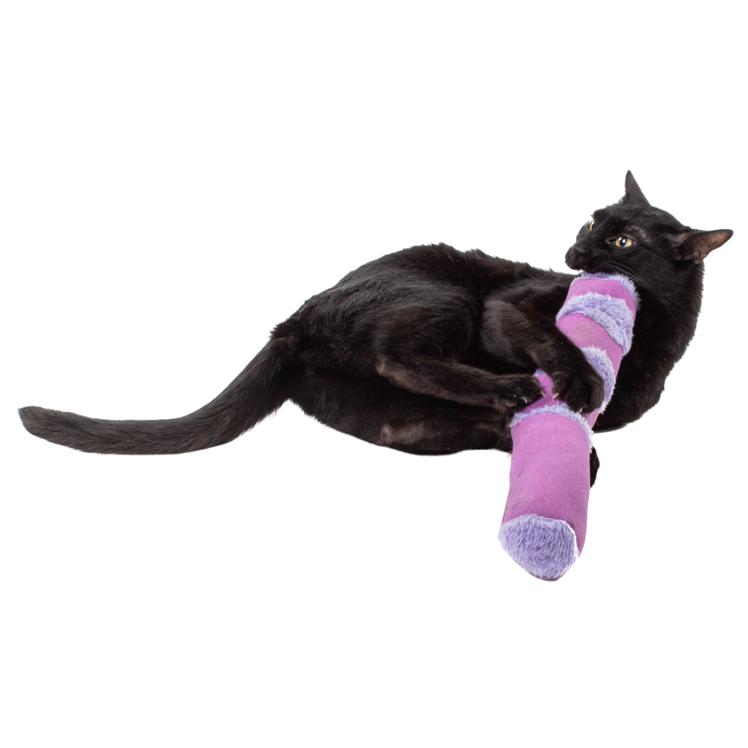 Kangaroo Kicker by Jackson Galaxy