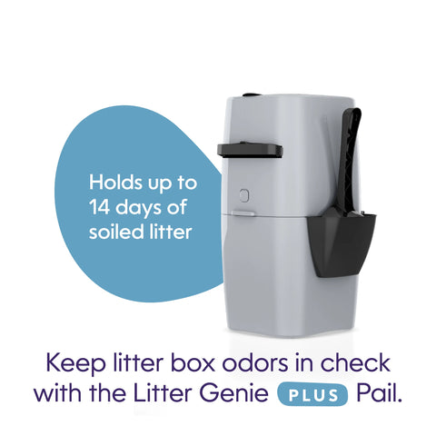 Litter Genie Plus Ultimate Cat Litter Odor Control Pail - Silver