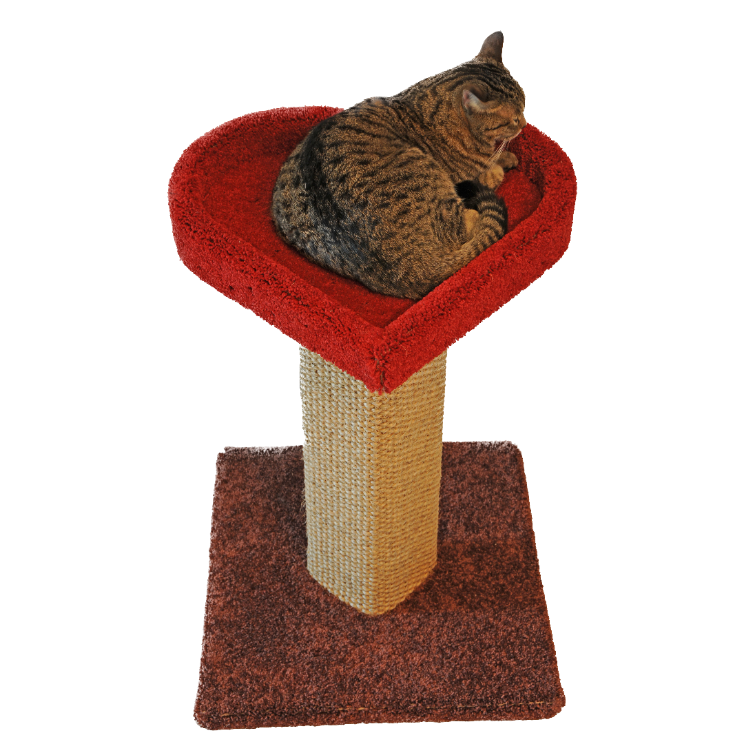 The LoveCat Tower By Square Paws Jackson Galaxy the-lovecat-tower-by-square-paws-jackson-galaxy