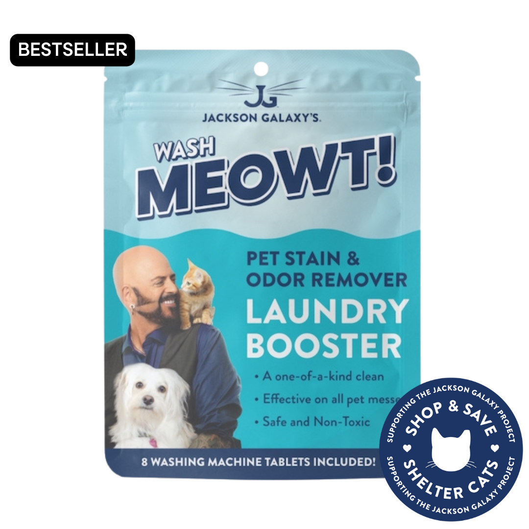 Cat Body Language Tails Jackson Galaxy