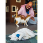 Mic Drop Duo, auriculares y micrófono - Jackson Galaxy x Feline Frenzy
