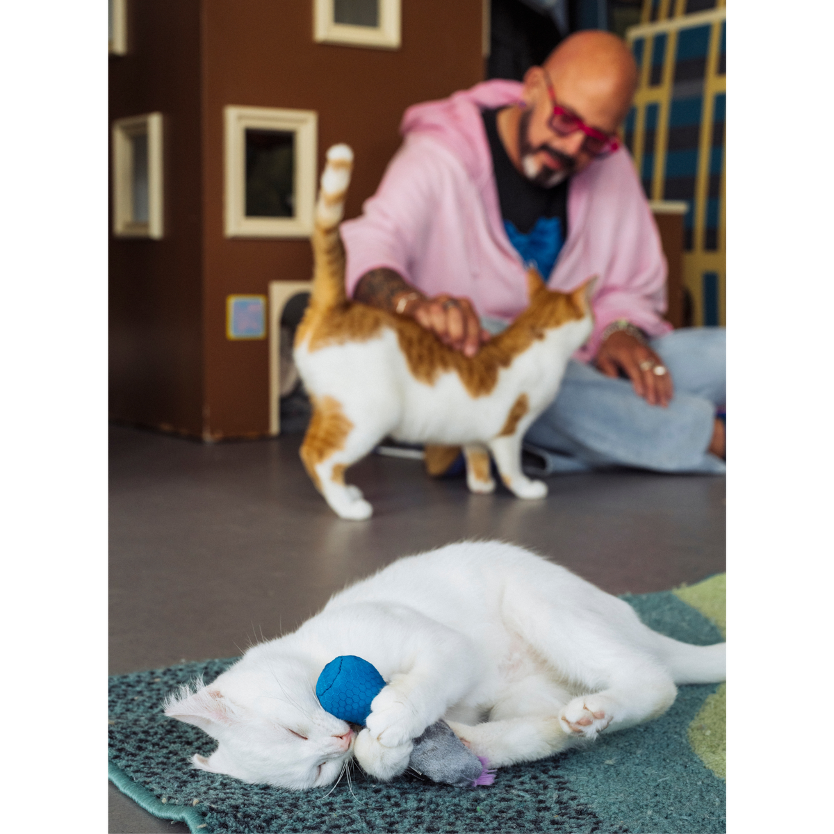 Mic Drop Duo, auriculares y micrófono - Jackson Galaxy x Feline Frenzy