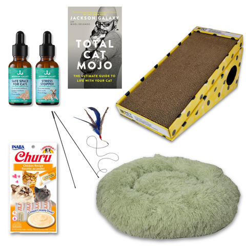 The Wallflower Bundle (For Shy Cats!)