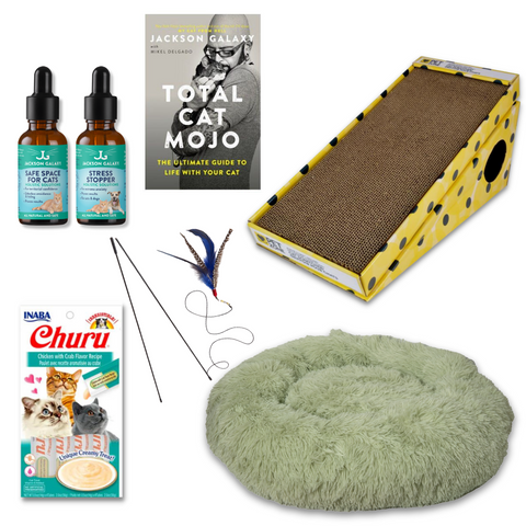 The Wallflower Bundle (For Shy Cats!)