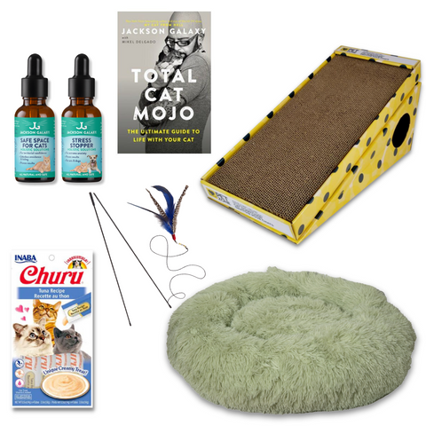 The Wallflower Bundle (For Shy Cats!)
