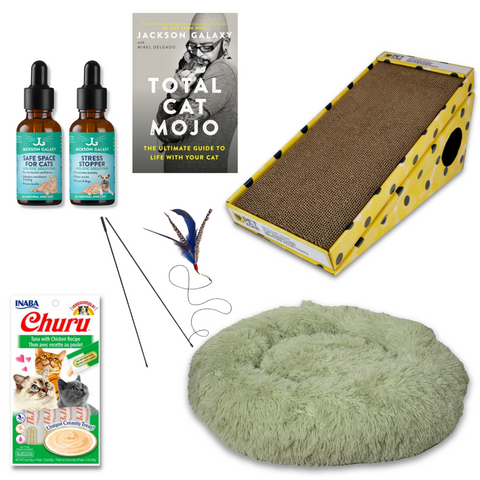 The Wallflower Bundle (For Shy Cats!)