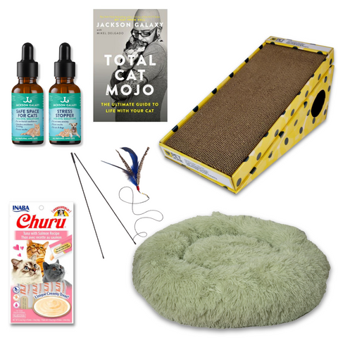 The Wallflower Bundle (For Shy Cats!)