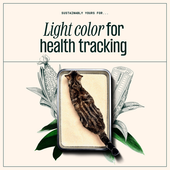 The Truth About Automatic Litter Boxes Jackson Galaxy