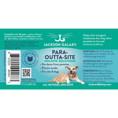 Jackson Galaxy