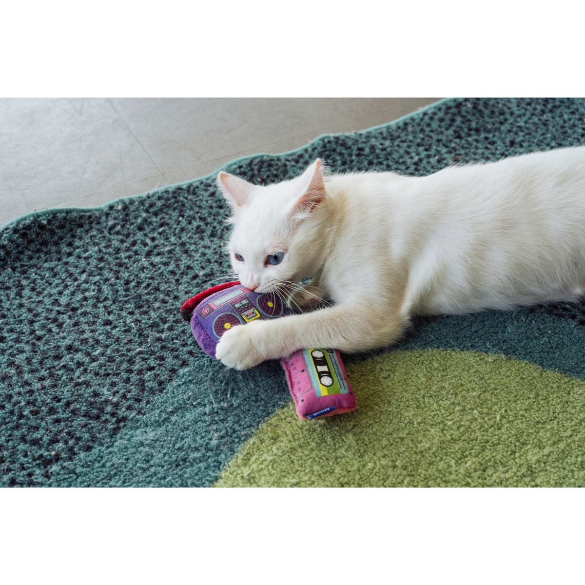 Playback Dúo, radiograbadora y casete - Jackson Galaxy x Feline Frenzy