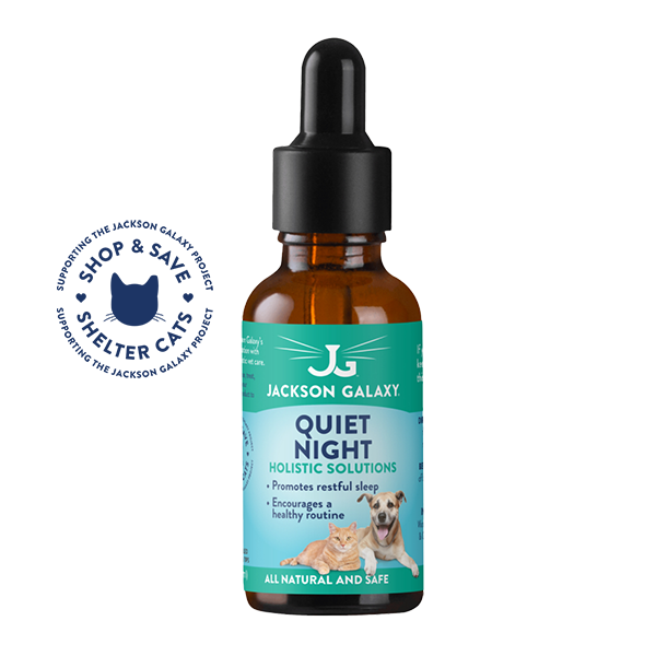 Quiet Night (Formerly Night Owl Solution)
