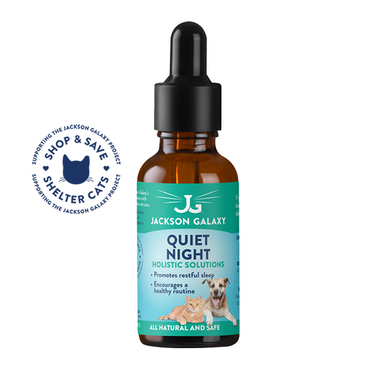 Quiet Night (Formerly Night Owl Solution)
