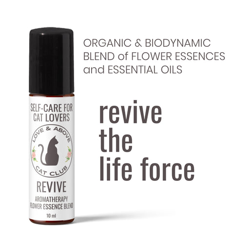 Revive - Rejuvenation for Humans: Aromatherapy & Flower Essence Roller