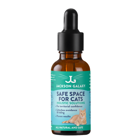 Jackson galaxy online cat pee cleaner