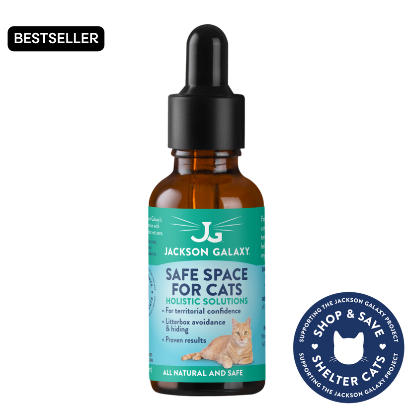 8 Types of Cat Aggression Explained! Jackson Galaxy