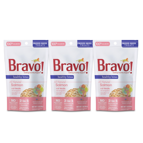 Bravo raw cat hot sale food