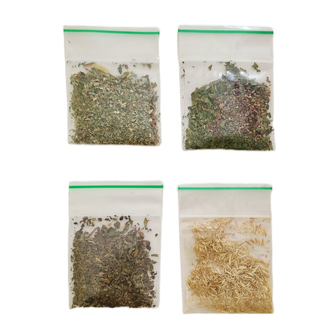 Space Kitty Express Sampler Pack