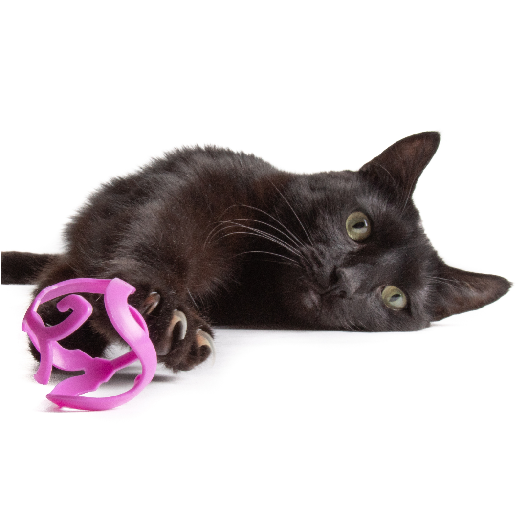 Jackson Galaxy Satellites