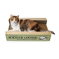 The Original Scratch Lounge