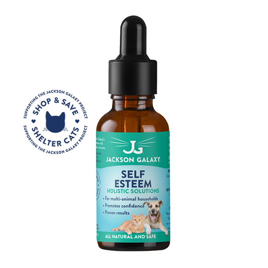Stress Stopper Cat Stress Relief Solution