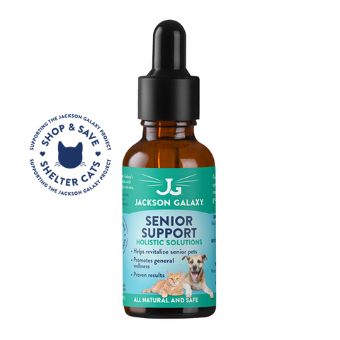 Senior Support (Formerly Graceful Aging)