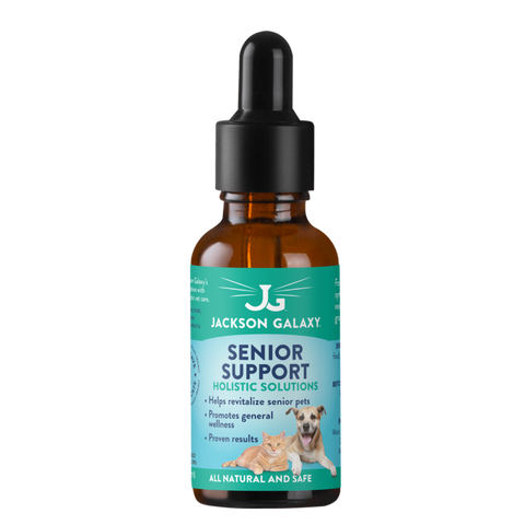 Senior Support (Formerly Graceful Aging)