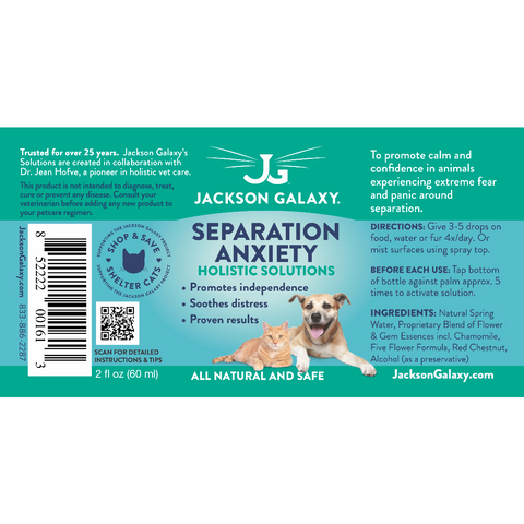 8 Products to Help Ease Separation Anxiety in Dogs