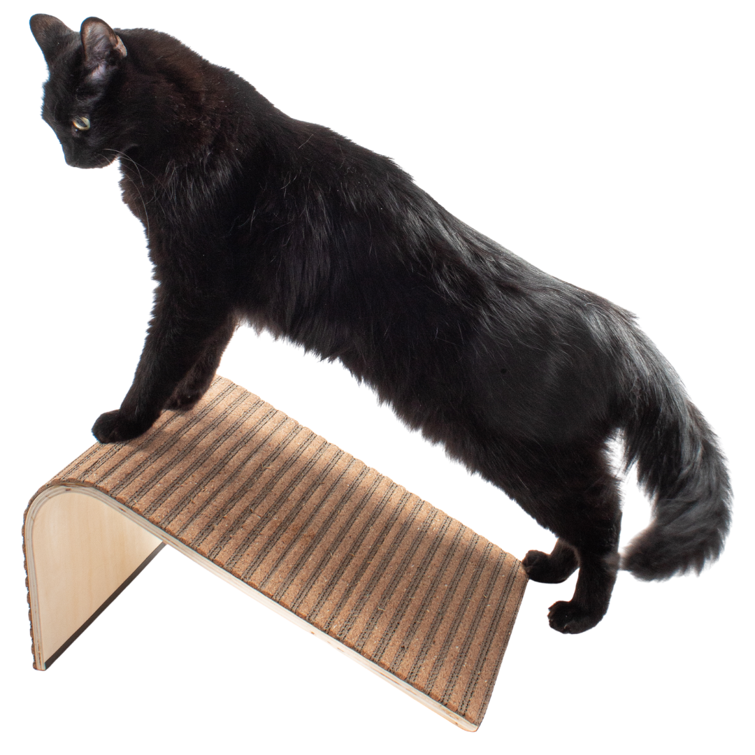 Scratchify! Incline Scratcher by Jackson Galaxy