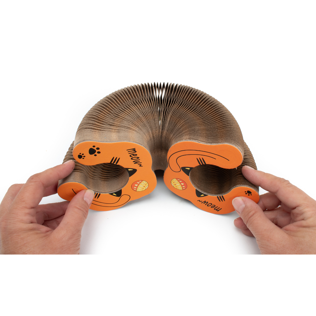 Cardboard Accordion Cat Toy