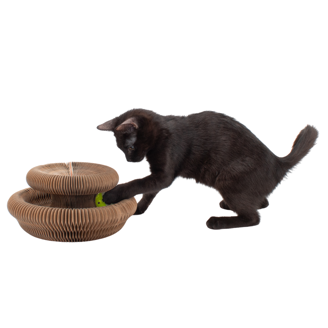 Cardboard Accordion Cat Toy