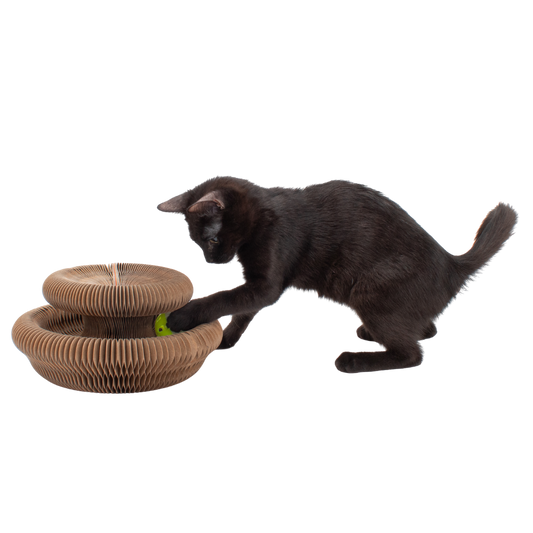Cardboard Accordion Cat Toy