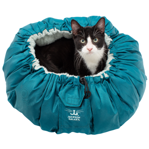 Convertible Clamshell Cat Bed