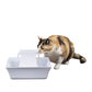 Pagoda Pet Fountain, White by PetSafe Drinkwell