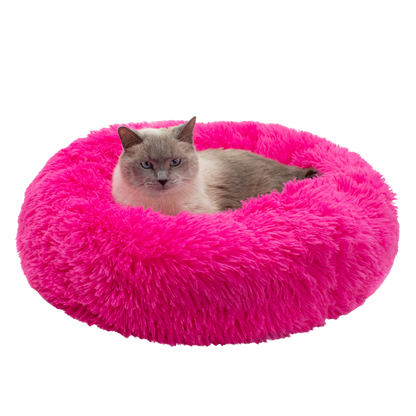Jackson Galaxy
