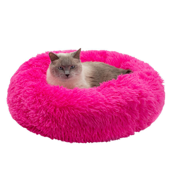 Jackson Galaxy