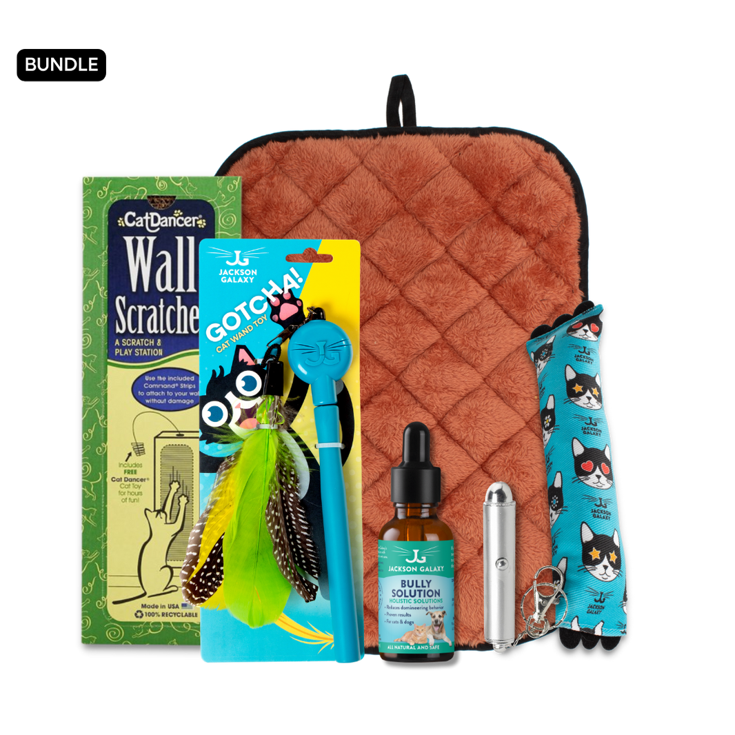 8 Types of Cat Aggression Explained! Jackson Galaxy