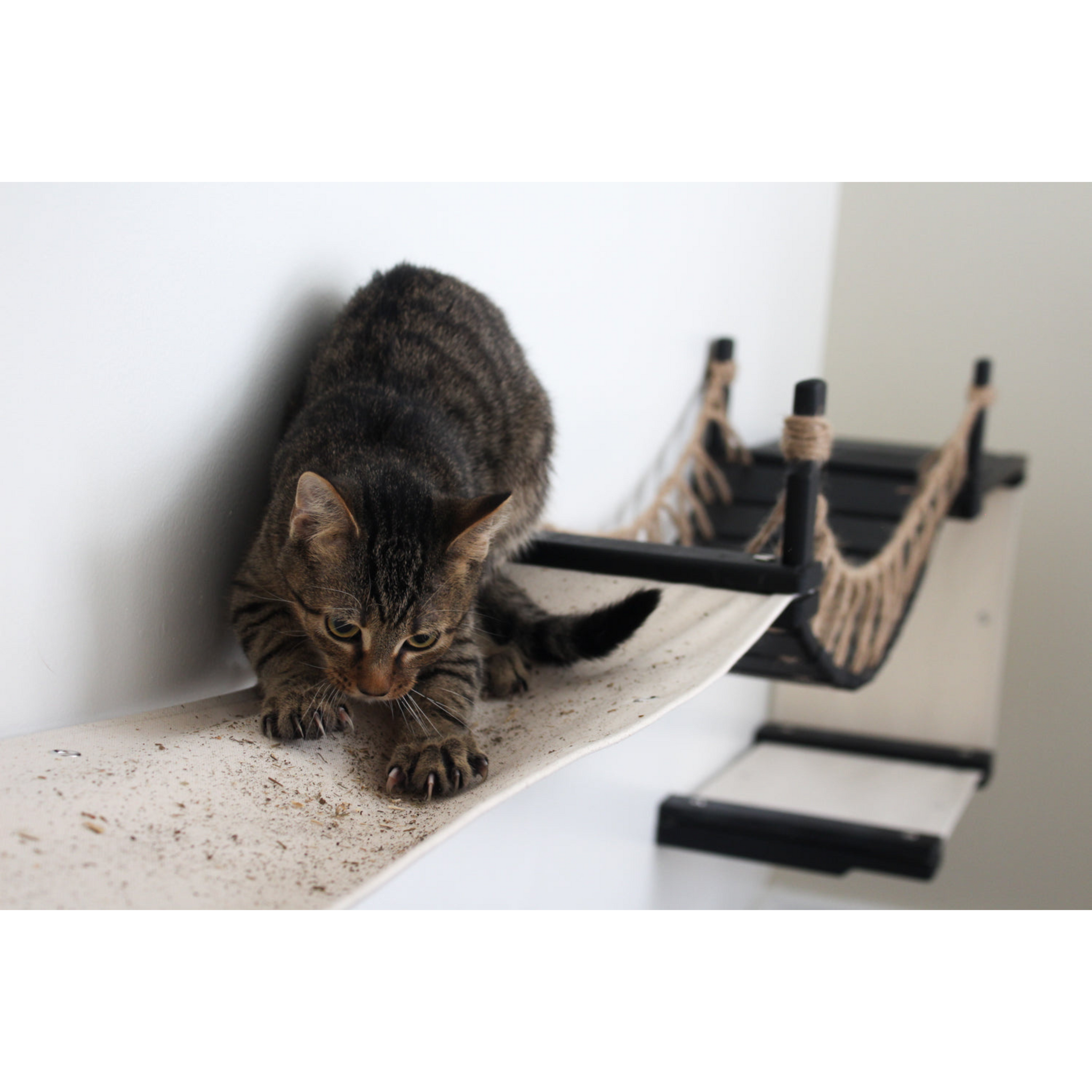 The Canyon: Cat Tree/Condo for Multiple Cats by Catastrophic Creations