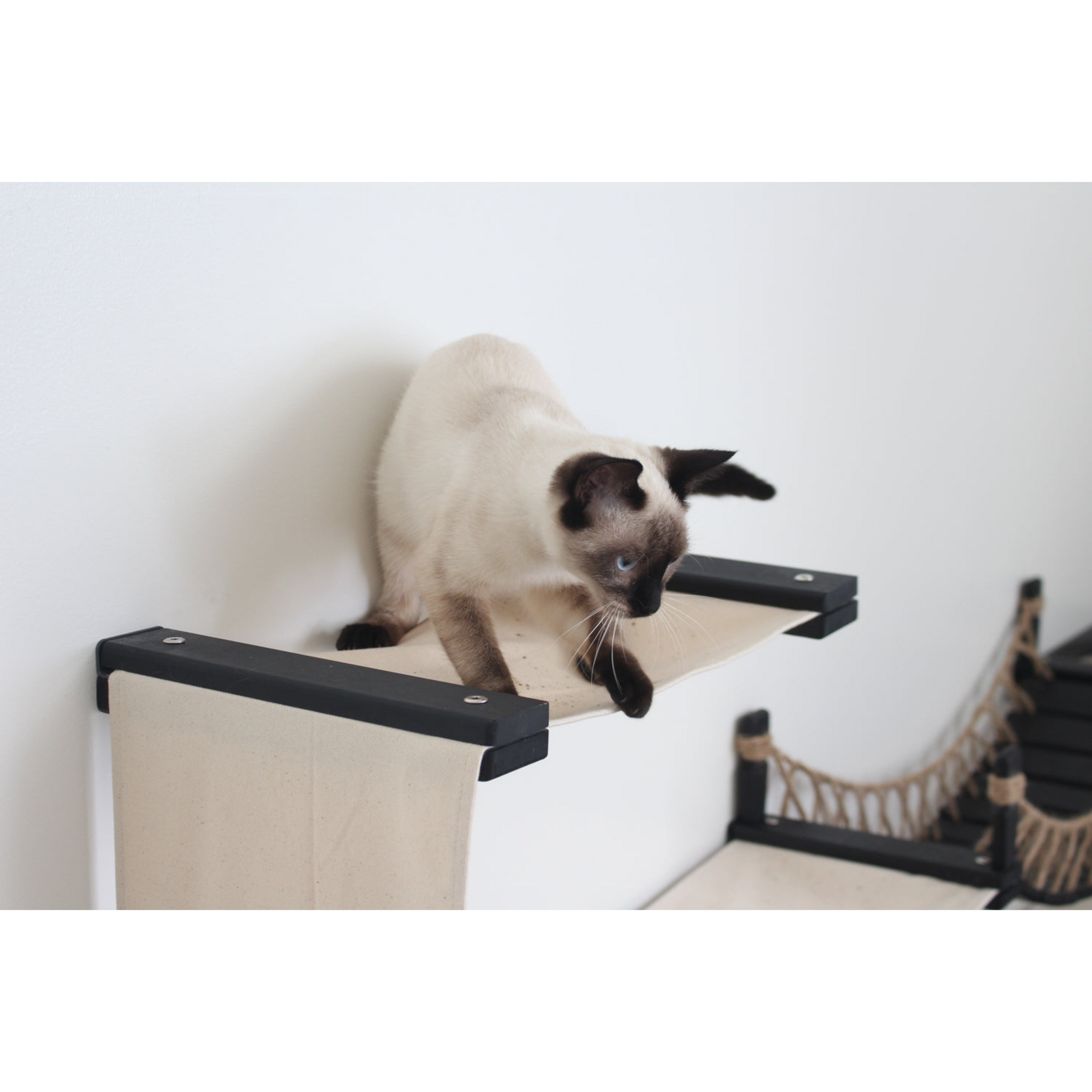 The Canyon: Cat Tree/Condo for Multiple Cats by Catastrophic Creations