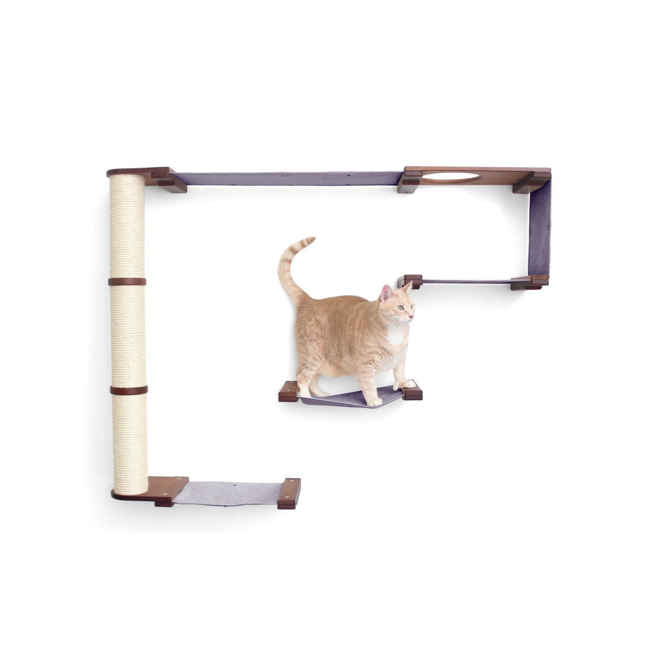 The Climb - Cat Condo (Wall-Mounted) by Catastrophic Creations