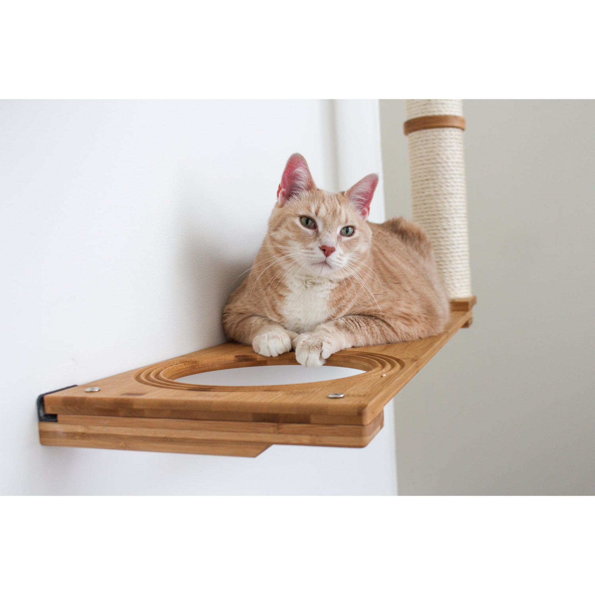 The Dakota Cat Condo (Cat Scratcher Lounger) by Catastrophic Creations