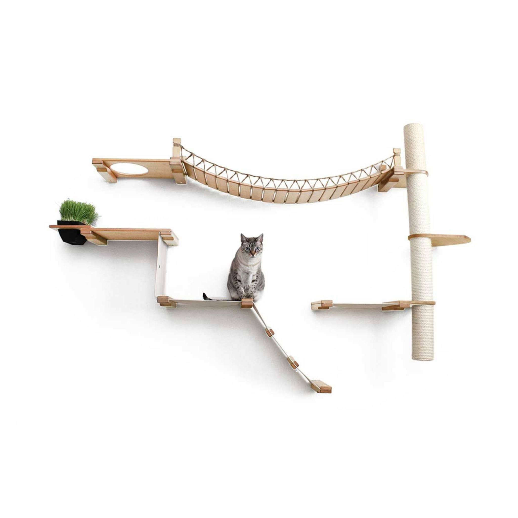 Jungle creations cat backpack sales