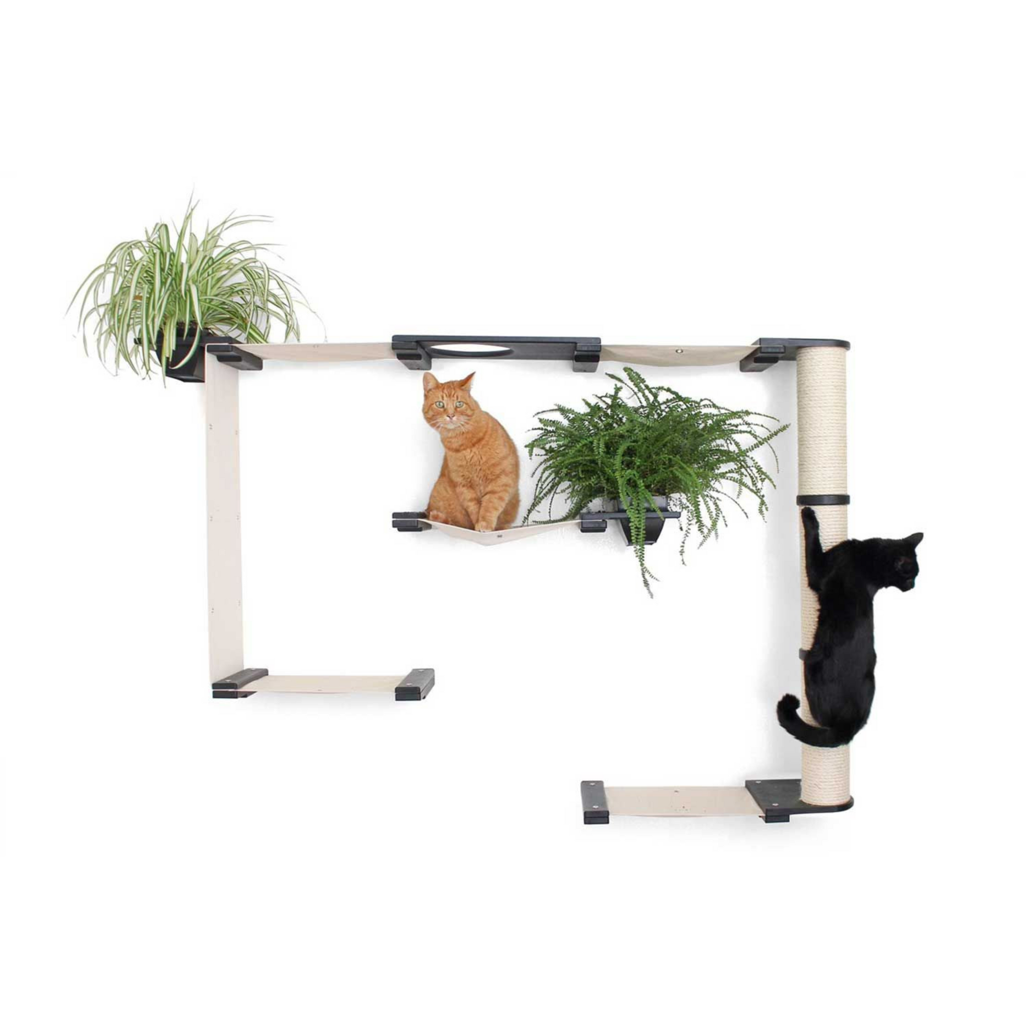 The Gardens Cat Condo (Wall-Mounted Cat Tree) by Catastrophic Creations